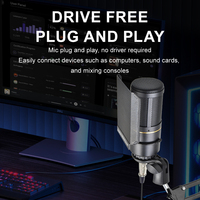Kit de microphones professionnels XLR 48V pour streaming, enregistrement et podcasting, avec microphone à condensateur à réduction de bruit et support pour chant