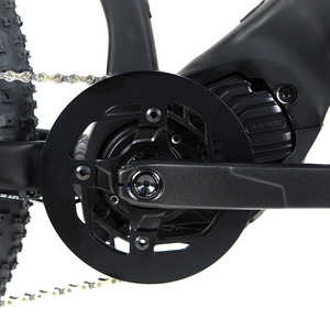 Bicicleta Eléctrica 2025 EC1 con Motor de 11 Velocidades, Bicicleta Eléctrica de Carretera de 48V 250W con Motor Central, la Mejor Relación <span class=keywords><strong>Calidad</strong></span>-<span class=keywords><strong>Precio</strong></span> - Product Image 6