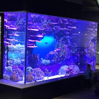 Aquariums en plastique acrylique à prix compétitif, colonnes, aquariums modernes, design océanique, aquariums carrés