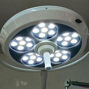 인기 판매 전기 이동식 무영 검사등 수술실용 수의학 검사등 - Product Image 3