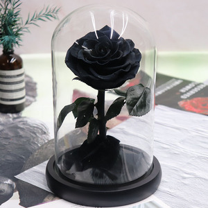 Fleurs éternelles conservées sous dôme en verre, 7/lot, fausses Roses - Product Image 5