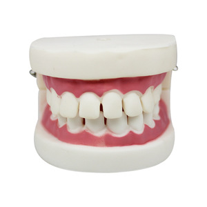 Dental preparation practice model, interdental <b>gap</b> model, tooth preparation model, teaching implant model, denture props - Product Image 2