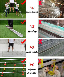 Gabbia per Galline Ovaiole a 3 Livelli e 4 Stanze, Capacità 96 Uccelli, Produzione Cinese, Design Gratuito per il Botswana - Product Image 3