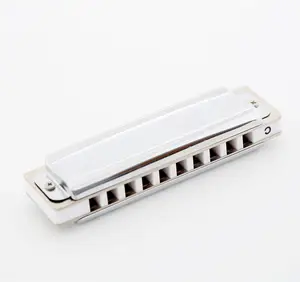 Competitive price 10 holes C tone high quality professional blues harmonica