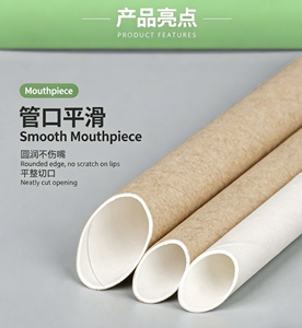 Tube en papier écologique personnalisé pour pailles jetables en papier et en plastique, emballage alimentaire de qualité supérieure en gros - Product Image 4