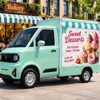 Nouveau mini-camion électrique utilitaire EV avec une capacité de charge de 500 kg et une autonomie de moins de 100 km pour les boutiques de bubble tea/pizza/café