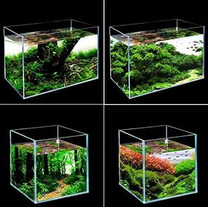 Acuario de agua salada para peces marinos de 80L, 6 pies, 200L, 120, 80, <span class=keywords><strong>100</strong></span>, 45x45, 1700 <span class=keywords><strong>litros</strong></span>, 55, 300L, 20, 90 L, cristalino, 200 cm, 75 galones - Product Image 5