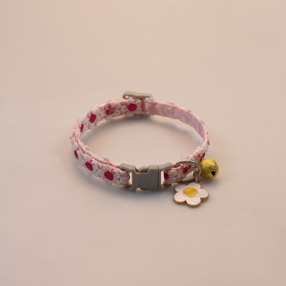 2 สีสันสดใส