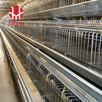 Cage à volailles de type A, cage automatique pour poules pondeuses à 4 niveaux, collecte des œufs, courroie à fumier, abreuvoir à tétine, alimentation et abreuvement, acier galvanisé
