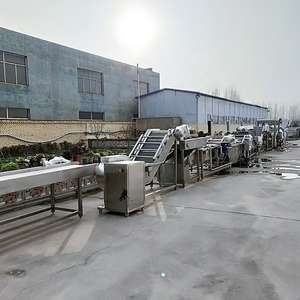 สายการผลิตมันฝรั่งทอดอัตโนมัติ - Product Image 3