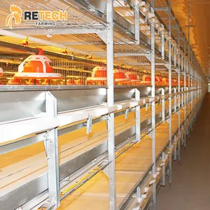 Broiler Poultry Equipment Hot Sale Broiler Chicken Battery Cage Poultry Farming Equipment