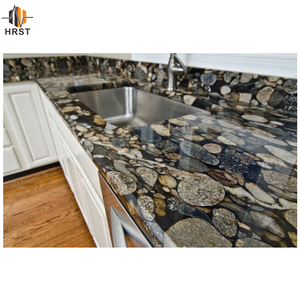 Granit mit schwarzen Fossilien Arbeits platten Giallo Santa Cecilia Küche Fertighaus Granit Arbeits platte - Product Image 2