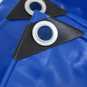 Cường Độ Cao Không Thấm Nước Màng Đất Ao Lót Vải Bể Cá Bạt Cho Biofloc Cá Nuôi Bạt Cá Ao - Product Image 2