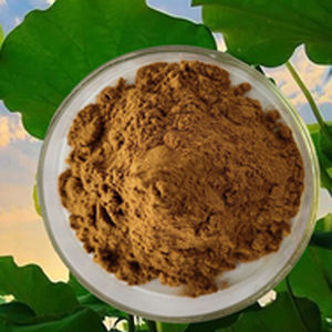 Extrait de feuille de lotus en poudre, 10 unités, meilleure vente <span class=keywords><strong>2022</strong></span> - Product Image 1