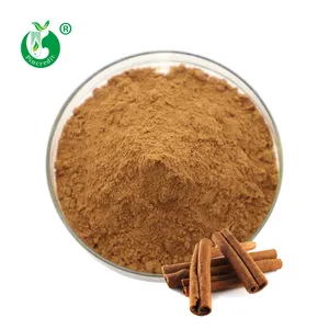 Pure Natural Bark Plant Extract Cinnamon Extract Powder 10% Polyphenols