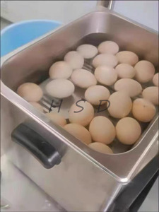 Matériel de cuisine professionnel pour restaurants et hôtels, machine à œufs à cuisson rapide pour œufs onctueux et œufs japonais cuits à la vapeur - Product Image 6