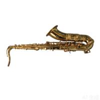 Eastern Music Gold Lacquer Brass Body Bb Tenor Saxophone Ala 82 Professional Wind Instrument for Performance