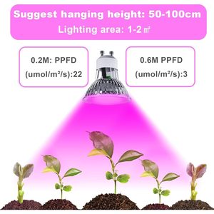 Lampadina LED per Coltivazione Antela 3.5W 200LM Spettro Completo Dimmerabile Angolo di Illuminazione 20 Gradi Durata 25000 Ore per Piante da Interno E27 - Product Image 6