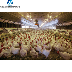 Chống địa chấn thiết kế bò chuồng gia súc đổ khung kim loại trang trại nhà prefab Kết Cấu Thép đổ cho Chuồng Bò sữa - Product Image 2