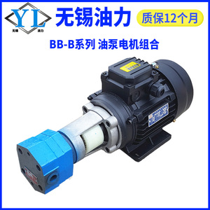 Bomba de Aceite de Engranajes Cicloides BB-B2.51016253240506380125Y, Bomba Hidráulica Autocebante, Nueva Generación de Hidráulica - Product Image 4