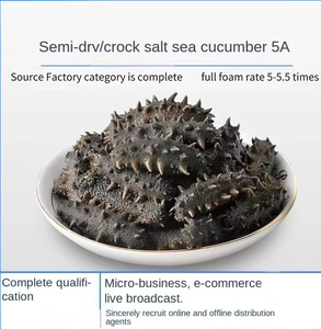 500g <span class=keywords><strong>Concombre</strong></span> de mer frais et séché naturel, riche en protéines, fruits de mer de haute qualité pour les acheteurs mondiaux, exportations internationales - Product Image 2