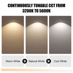 Preço de Fábrica 220W LED Spot de Perfil com CCT Ajustável 3200K-6500K DMX512 IP20 para Iluminação de Teatros, Estúdios de TV, Salas de Conferência e Palcos - Product Image 5