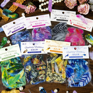 40 unids/pack DIY serie de plumas de fantasí<span class=keywords><strong>a</strong></span> diario de mascotas Pegatinas transparentes decorativas acabado de superficie de estampado dorado para Base de Collage - Product Image 2