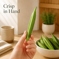 Knapperige Okra Snack Groothandel Gedroogde Okra Groentesnack OEM Private Label Fabriek Export Leverancier Winkelklare