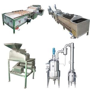 Máquina Procesadora de Tomates Industrial Automática Nueva con Excelente Precio - Product Image 3