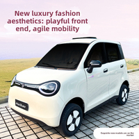 Nouvelle Voiture Électrique à Basse Vitesse 2026 pour Adultes, 4 Portes, 4 Places, 45 km/h, Résistante au Vent et à la Pluie