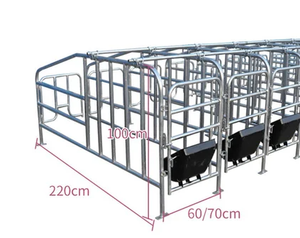 <strong>Pig</strong> Farrowing Cage <strong>Pig</strong> Farming Equipment Automatic Maternity Cages For <strong>Pigs</strong>