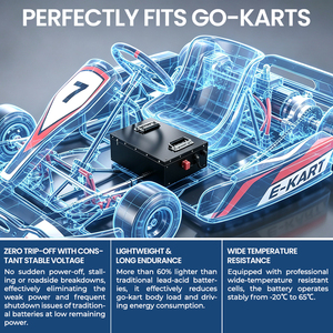 Paket Baterai LiFePO4 48V 80Ah 100Ah Pengisian Cepat untuk Kart Sewa Komersial, Balap Go Kart Listrik, dan Buggy - Product Image 3