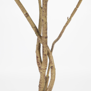 160cm Artificielle <span class=keywords><strong>Jacaranda</strong></span> Arbre Faux Plantes Bonsaï Arbre avec Tronc Réaliste pour la Décoration Intérieure - Product Image 5