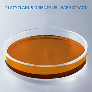 PLATYCLADUS ORIENTALISリーフ抽出化粧品に使用される植物抽出物 - Product Image 2
