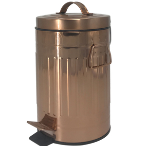Poubelle à pédale pour salle de bain avec revêtement en poudre galvanisé, poubelle à poussière (AWS105) - Product Image 2