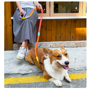 Guinzaglio per Cani Multifunzione Personalizzato, 10mm 12mm, Alta Densità, per Addestramento, Mani Libere, Tipo P Bicolore - Product Image 6