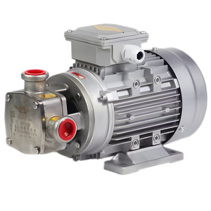 Bomba electrónica de aluminio de 12V a prueba de explosiones con motor de frecuencia variable, bombas de sumidero de baja presión para diésel/bioriñol/gasolina para coches OEM - Product Image 2