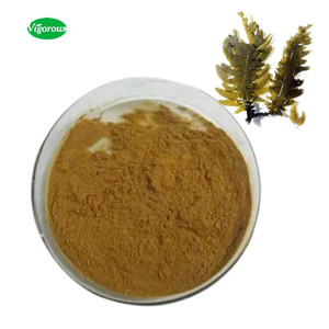 Extrait d'Ecklonia <span class=keywords><strong>Cava</strong></span> de qualité biologique / Ecklonia <span class=keywords><strong>Cava</strong></span> P.e / 10:1 Poudre d'Ecklonia <span class=keywords><strong>Cava</strong></span> - Product Image 1