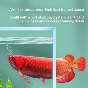 Acquario in vetro ultra-bianco per soggiorno, piccolo acquario per paesaggistica naturale, vasca per <span class=keywords><strong>tartarughe</strong></span> ecologica da tavolo per pesci <span class=keywords><strong>d</strong></span>'<span class=keywords><strong>acqua</strong></span> dolce sudamericani - Product Image 4