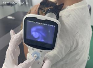 Caméra professionnelle Fundus pour animaux de compagnie Caméra rétinienne <span class=keywords><strong>portable</strong></span> non mydriatique pour vétérinaire - Product Image 4