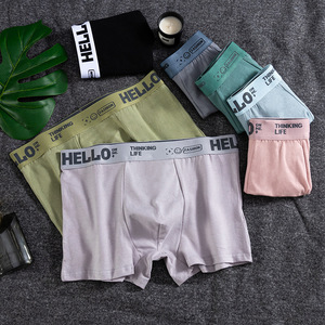 Sous-vêtements en coton respirant pour homme, caleçons, boxers, sous-vêtements pour garçon - Product Image 4