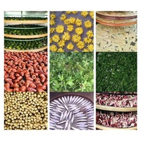 Mini Roterende Thee Moringa Bladdroger Droogmachine Droger Fruit Droogoven Prijs
