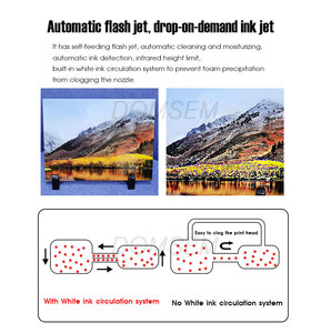 Domsem 5060 A2 UV gỗ coroplast phẳng máy in da điện thoại trường hợp máy in cho Acrylic - Product Image 3