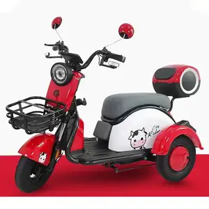 China youyuan 2023 Family Use Cargo Ebike 3 Wheel Electric Tricycle Bike New 600W 48V Electric Pedicab With Basket