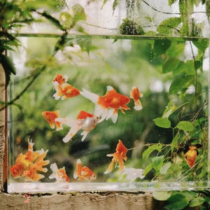 אולטרה לבן קטן freestandplay aquarium ידידותי לסביבה מלבני אקריליק מלבני דגים טנק תצוגה יצירתי חשוף - Product Image 2