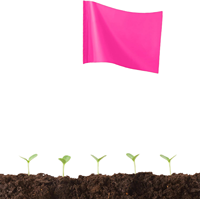 Banderas de Marcación de Poliéster Rosa con Mástiles de Alambre de Acero - Duraderas y de Alta Visibilidad para Jardín/Césped, Entrenamiento de Perros, Uso en Topografía