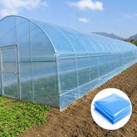 Film de serre en PE résistant aux UV avec filet anti-insectes/ombrage 20g/m² largeur personnalisée pour la protection des plantes agricoles