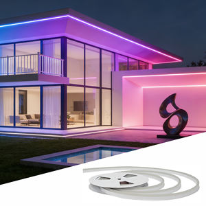 Tira de Luces LED de Neón Flexible para Exteriores, Resistente al Agua IP68 IK10, DC24V SPI, Venta al por Mayor - Product Image 1