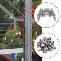 Clip de fixation en acier inoxydable de type W pour panneaux de verre de serre