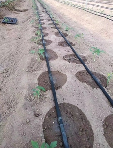 Serre de jardin en plastique noir de 16mm <span class=keywords><strong>Tuyau</strong></span> d'irrigation <span class=keywords><strong>goutte</strong></span> <span class=keywords><strong>à</strong></span> <span class=keywords><strong>goutte</strong></span> plat de <span class=keywords><strong>1000m</strong></span> (sans trou) - Product Image 2